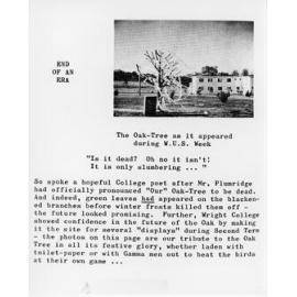 The Oak-Tree as it appeared during W.U.S. Week
