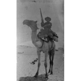 Photo of an unidentified soldier mounted on a camel
