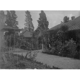 Photo of an unidentifed garden