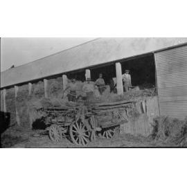 Men working on a farm