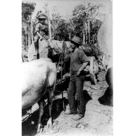 Bullock driver and boy with team
