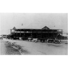 Bullock team [Appears to be in front of Pier Hotel Coffs Harbour]