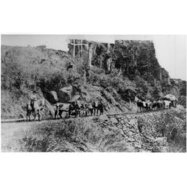 Bullock team on road