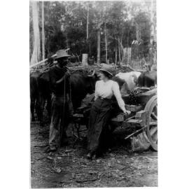 Bullock team - Man and women posed with right and team.