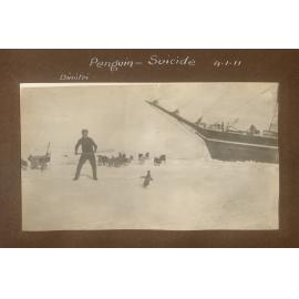 Dogs tied up beside Terra Nova, with Dimitri stopping a penguin from getting close to them