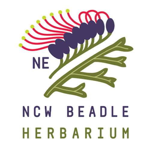 N.C.W. Beadle Herbarium (External)