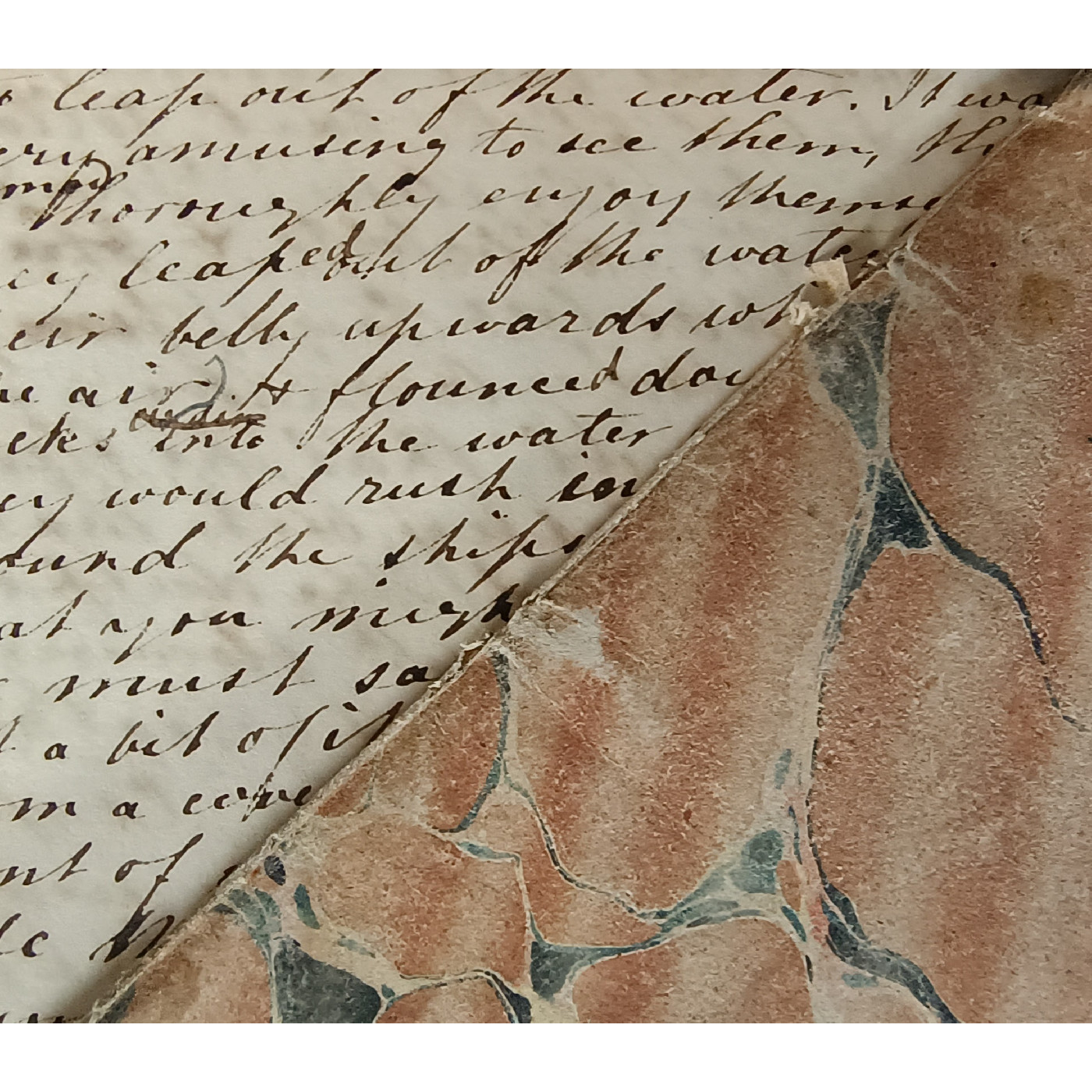 Ollera Station Records