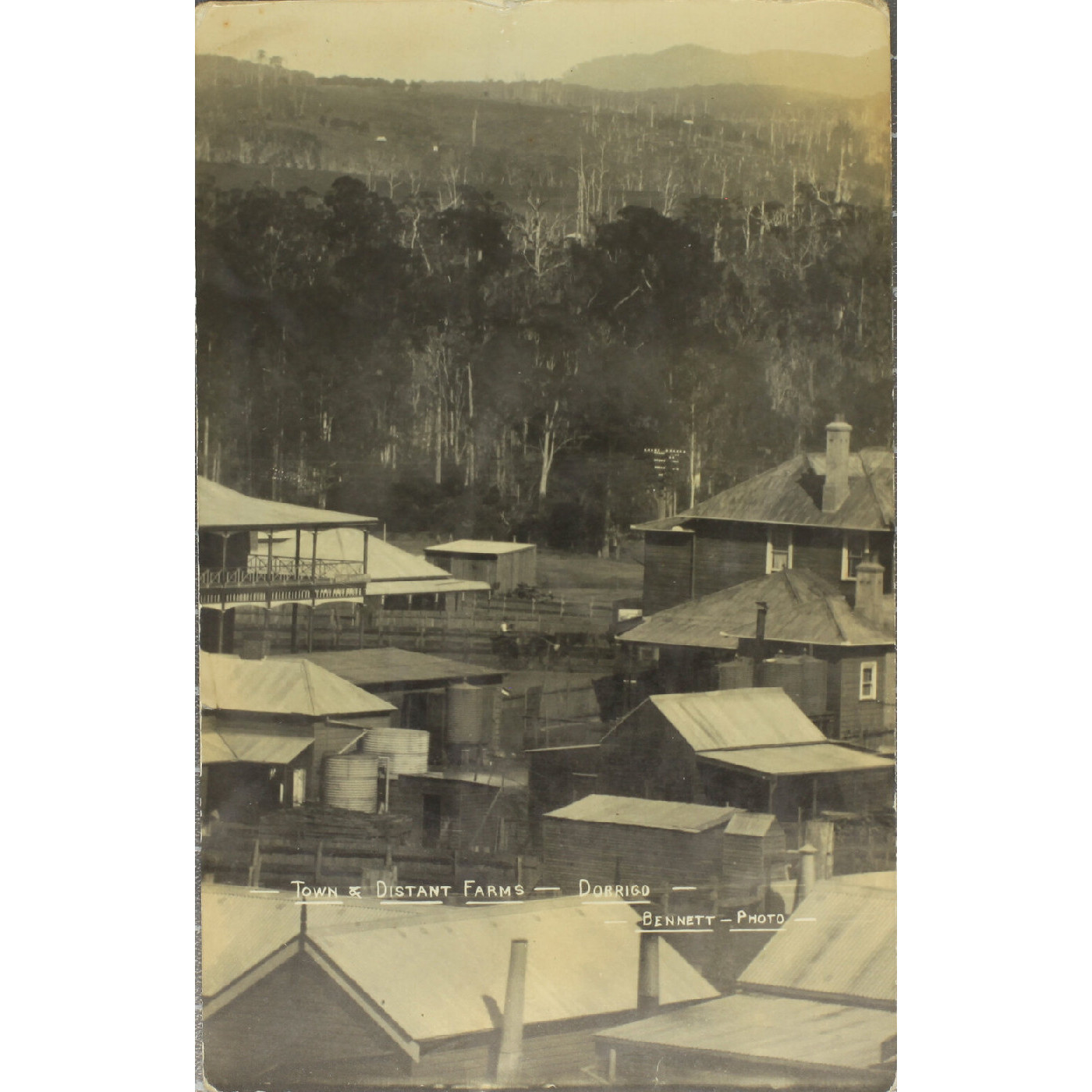 Dorrigo, NSW