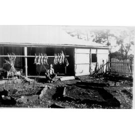 Sitting on house verandah with skinned rabbits