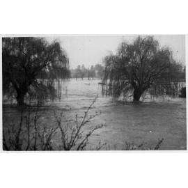 Flood in Dumaresq Creek from Stephens Bridge, 1949