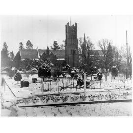 View from Tattersalls garden to St Peter's Cathedral, 1949