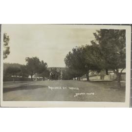 Armidale Street, Uralla, horse and cart