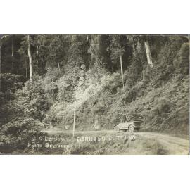 Dorrigo Cutting
