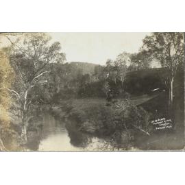 Sevenoaks, Murray River, Dorrigo