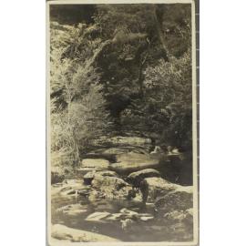 Murray River, North Dorrigo