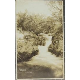 The Race, Dorrigo