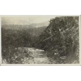 Deer-Vale, Dorrigo