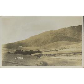 Jock's Water, Dorrigo