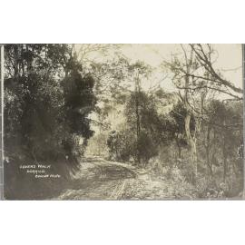 Lover's Walk, Dorrigo