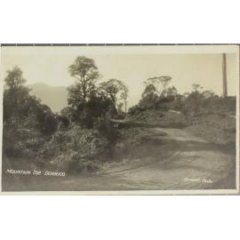 Mountain Top, Dorrigo (Road)
