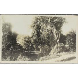 View of Dorrigo Cutting