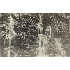 Wilson's Fall, Dorrigo