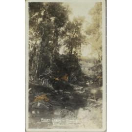 Rocky Creek, Dorrigo