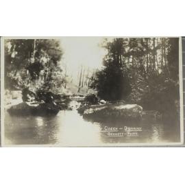 Unidentified creek, Dorrigo