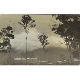 Mountain Mists, Dorrigo