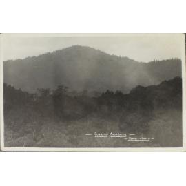 Dorrigo Mountains