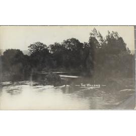 The Willows