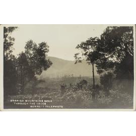 Dorrigo Mountain seen through the Trees â€“ Bennett Telephoto
