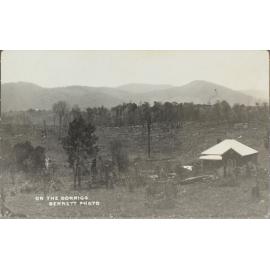 On the Dorrigo