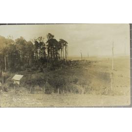 The Fertile Dorrigo