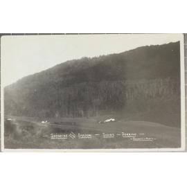 Sunshine and Shadow, Shaws, Dorrigo