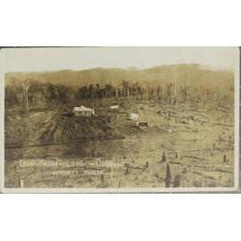 Dairy Farm, Leigh, Dorrigo