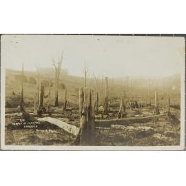 Farms in Making, Dorrigo