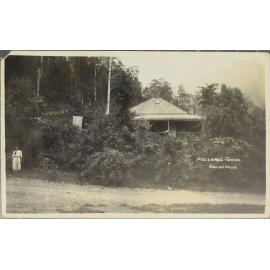 Pollard's, Thora, NSW
