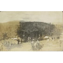 Mason's, Dorrigo