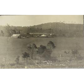 Cork's Farm, Dorrigo