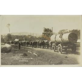 Pine Logs en route to Dorrigo Mill