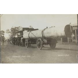 Dorrigo Pine Log
