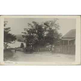 No 103 Fernmount