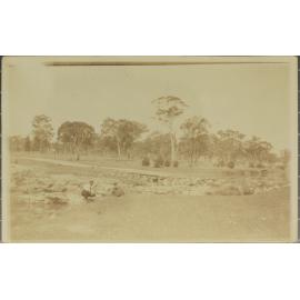 Swanbrook Creek, Inverell - Glen Innes Road