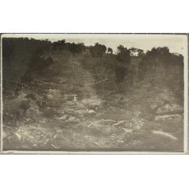 Felled trees near water course, [Dorrigo?]