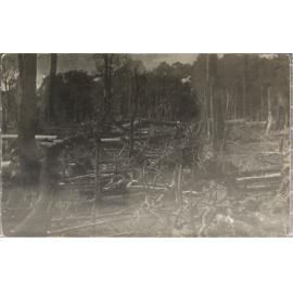 More fallen trees during clearing, [Dorrigo?]