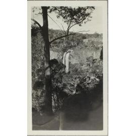 Ebor falls from a distance