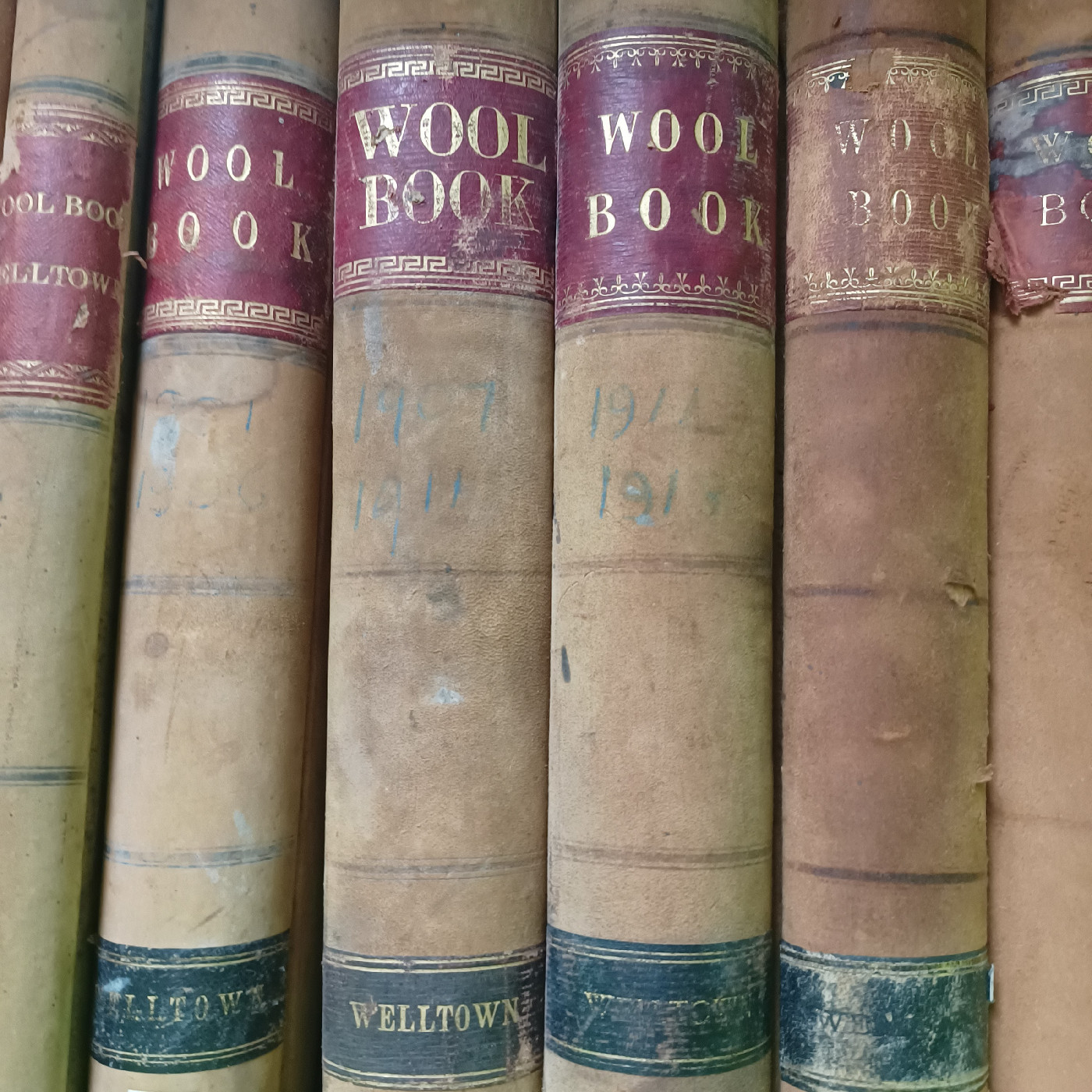 Welltown Station Records, Goondiwindi 1882–1946