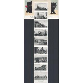 St Mary's Cathedral and Presbytery, St Peter's Cathedral, Beardy Street, New England Girls' School, Teachers' College, Central Park, Panorama of Armidale, De La Salle College, The Armidale School