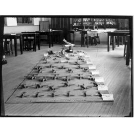 Armidale Teachers' College, display of finished models for enemy aircraft identification, 1941
